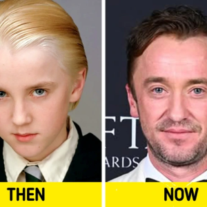 From Cute to Unrecognizable: 12 Child Stars Who Look Nothing Like Before From Cute to Unrecognizable: 12 Child Stars Who Look Nothing Like Before