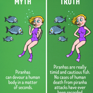 13 Movie Myths We’ve All Been Tricked Into Believing 13 Movie Myths We’ve All Been Tricked Into Believing