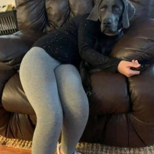 30 Ordinary Photos That Are Unexpectedly Hilarious