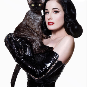 Dita Von Teese in The Art of the Teese: A Mesmerizing Burlesque Spectacle